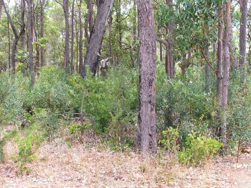 10 Georgiana Cross, Cowaramup WA 6284