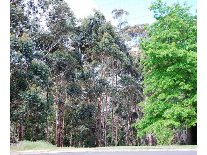 1 Churchill Avenue, Margaret River WA 6285