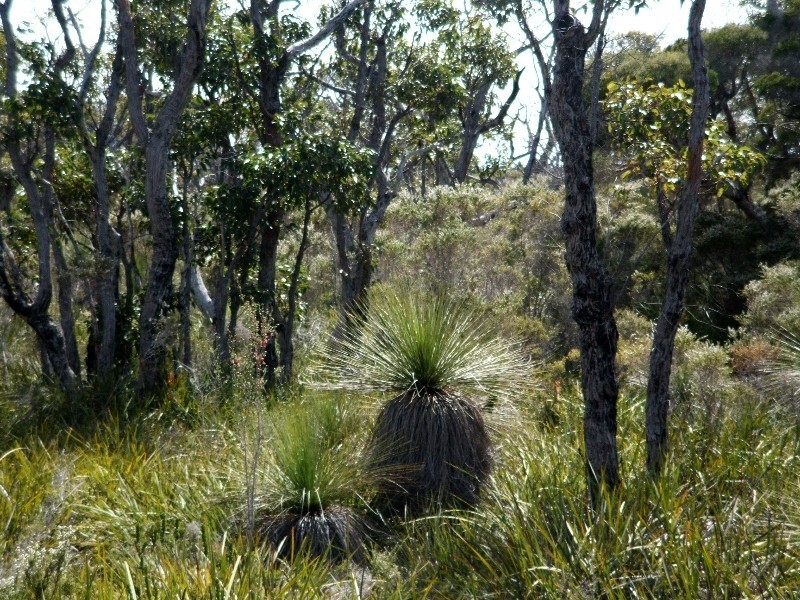 Lot 35 Rainbow Cave Road, Margaret River WA 6285