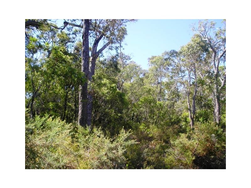 Lot 16 Rainbow Cave Road, Margaret River WA 6285