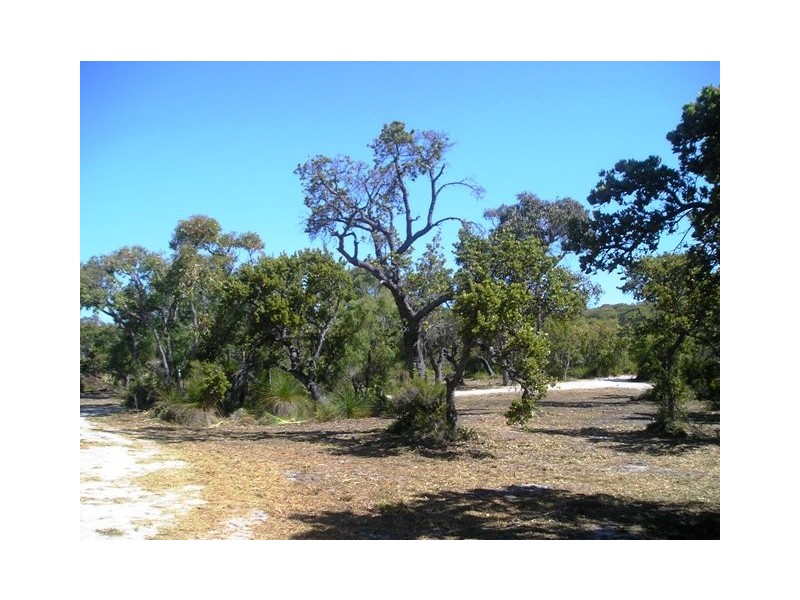 Lot 16 Rainbow Cave Road, Margaret River WA 6285