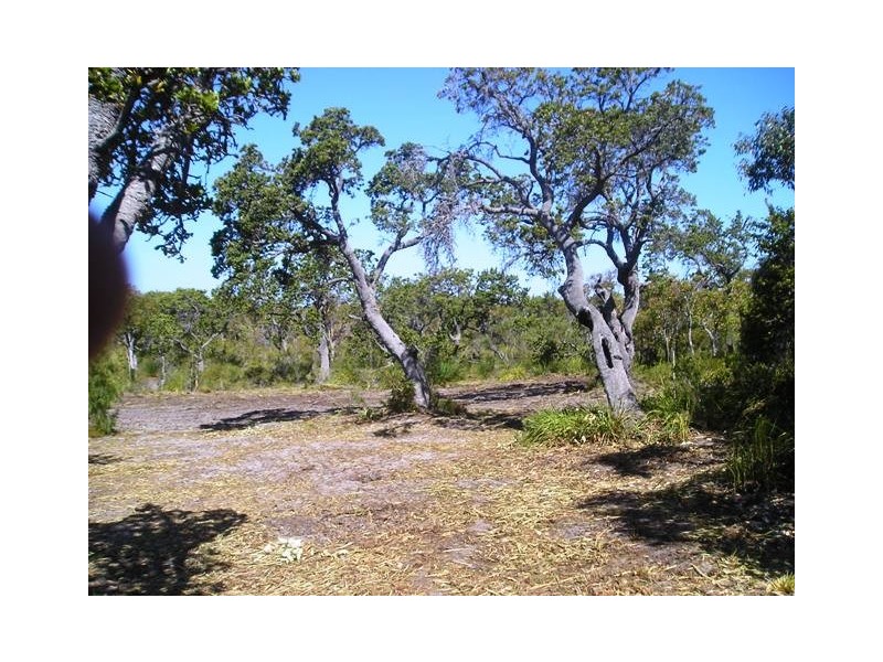 Lot 16 Rainbow Cave Road, Margaret River WA 6285