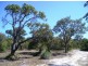 Lot 16 Rainbow Cave Road, Margaret River WA 6285