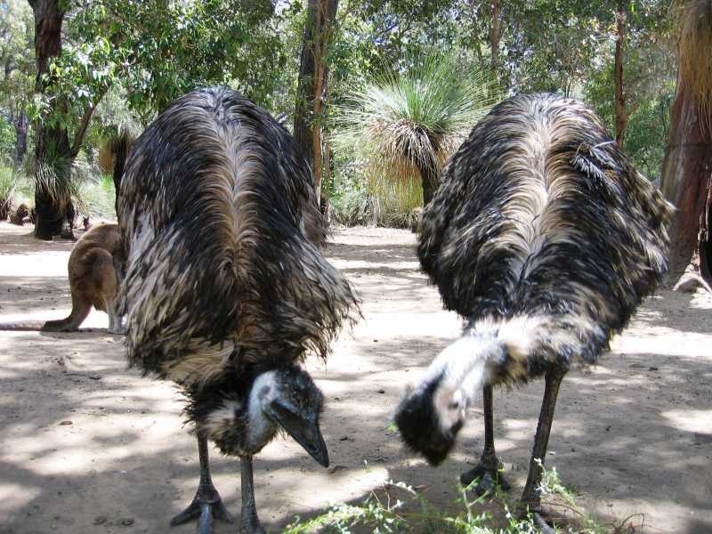 10207 Caves Road, Augusta WA 6290