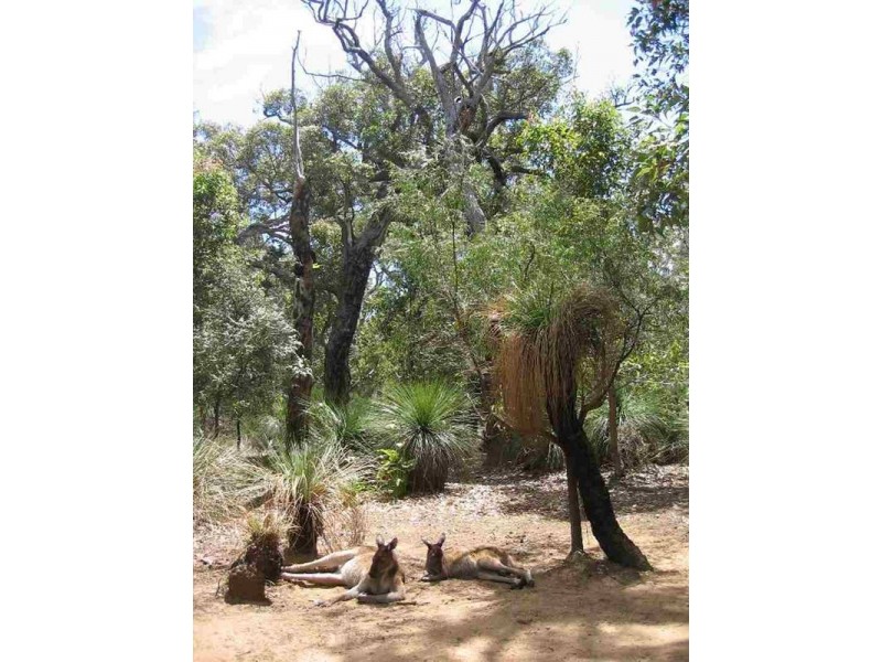 10207 Caves Road, Augusta WA 6290