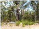 Lot 392,  Georgiana Cross, Cowaramup WA 6284