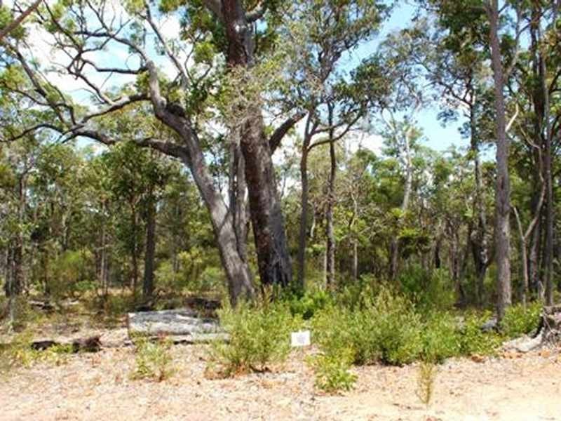 Lot 392,  Georgiana Cross, Cowaramup WA 6284