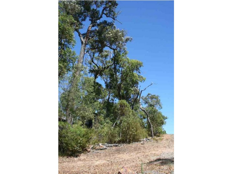 Lot 82 Holly Place, Cowaramup WA 6284