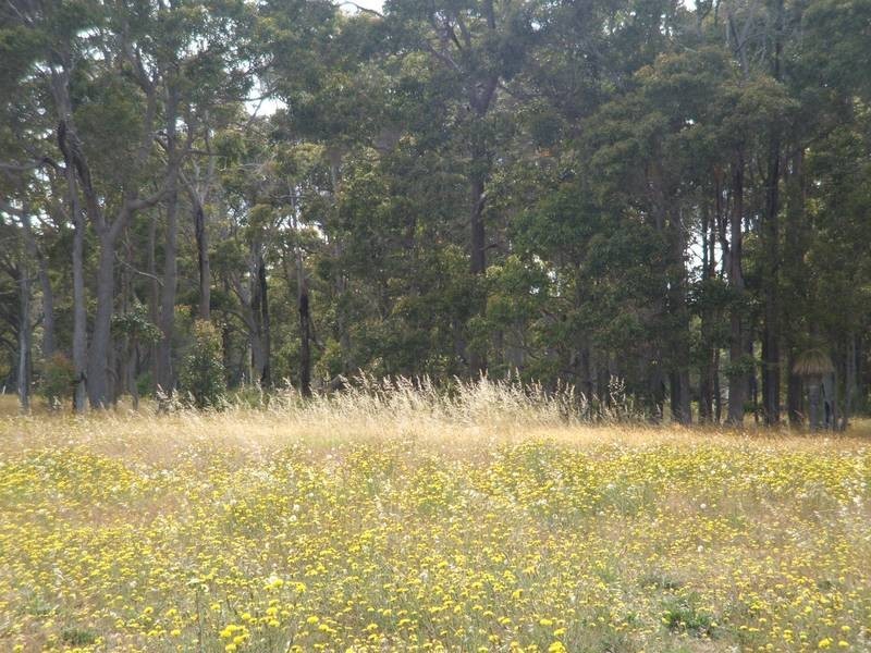 Lot 494 Currawong Street, Cowaramup WA 6284