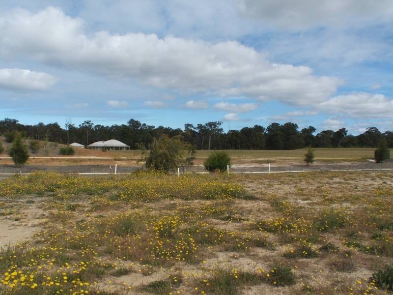 Lot 494 Currawong Street, Cowaramup WA 6284