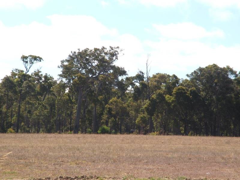 Lot 491 Currawong Street, Cowaramup WA 6284
