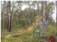 18 (L 309) Wandoo Place, Cowaramup WA 6284