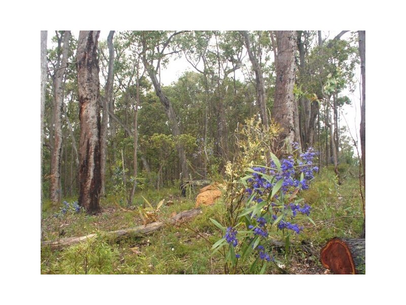 18 (L 309) Wandoo Place, Cowaramup WA 6284
