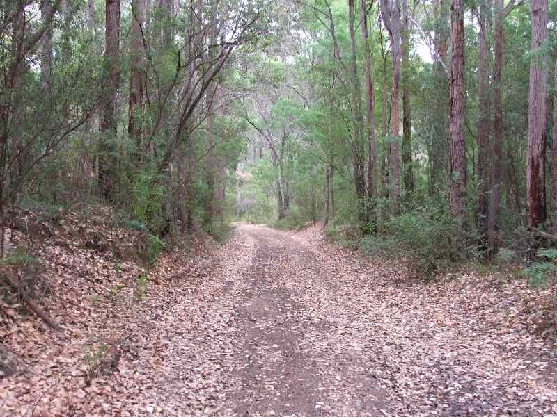 135 Sebbes Road, Forest Grove, Margaret River WA 6285