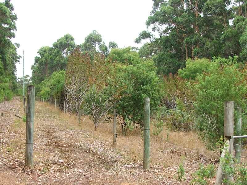 135 Sebbes Road, Forest Grove, Margaret River WA 6285