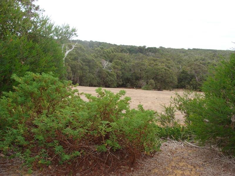 4231 (106) Armstrong Road, Gracetown WA 6284