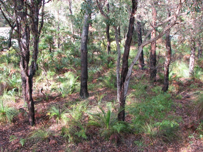 36 Sabina Drive, Molloy Island WA 6290