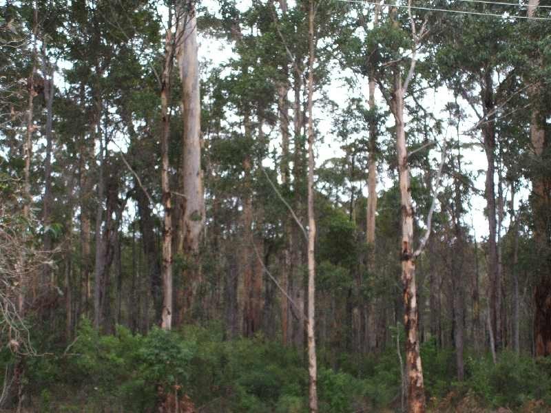 11 Barrett Street, Margaret River WA 6285