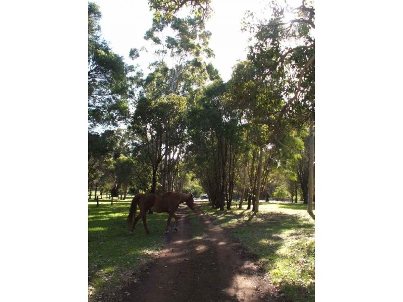 25 Glenellie Road, Margaret River WA 6285