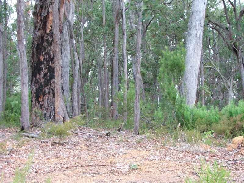 7 Wandoo Place, Margaret River WA 6285