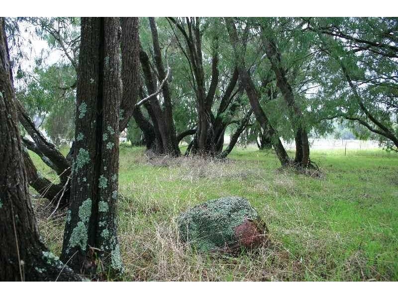 74 Tingle Avenue, Margaret River WA 6285