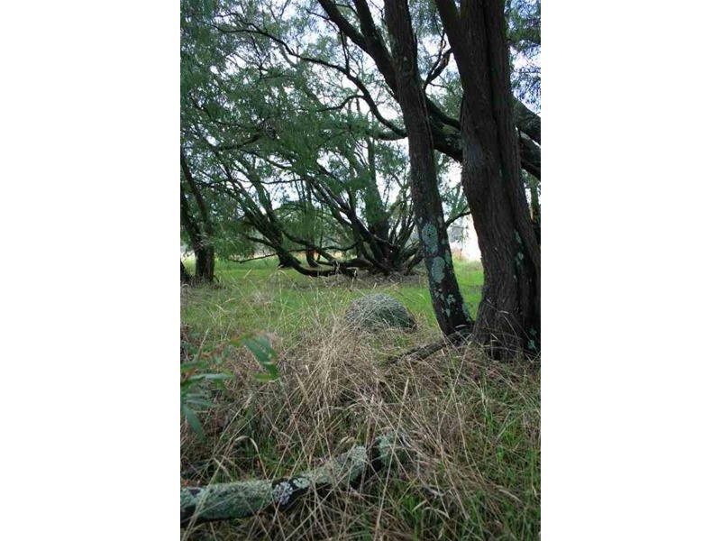 74 Tingle Avenue, Margaret River WA 6285