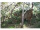 Lot 77, 199 Wilderness Road, Margaret River WA 6285
