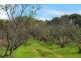1636 Bussell Highway, Forest Grove WA 6286