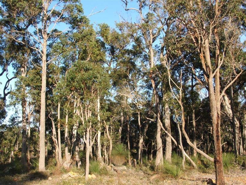 1 Honeytree Grove, Cowaramup WA 6284