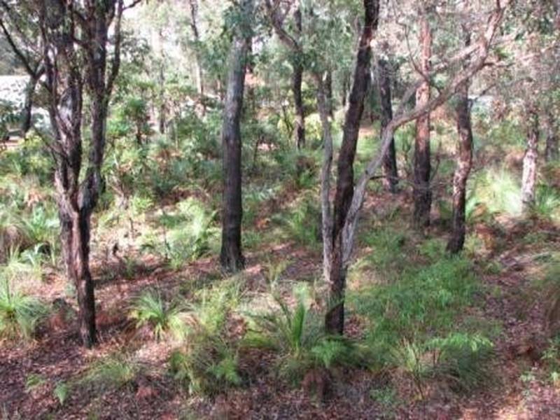 Lot 32, 36 Sabina Drive, Molloy Island WA 6290