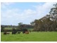 Lot 71, 71 Mill Road, Witchcliffe WA 6286