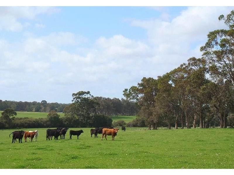 Lot 71, 71 Mill Road, Witchcliffe WA 6286