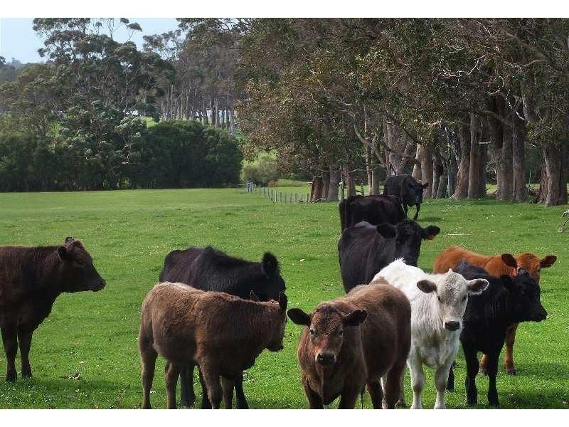 Lot 71, 71 Mill Road, Witchcliffe WA 6286