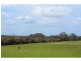 Lot 71, 71 Mill Road, Witchcliffe WA 6286