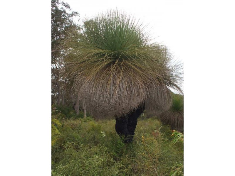 30 Colyer Drive, Hamelin Bay WA 6288