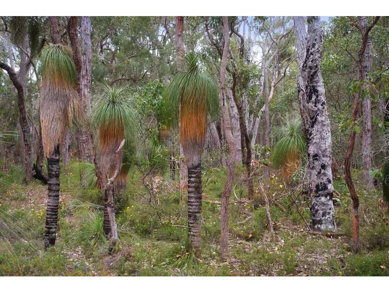 2/418 Bessell Road, Rosa Glen, Margaret River WA 6285