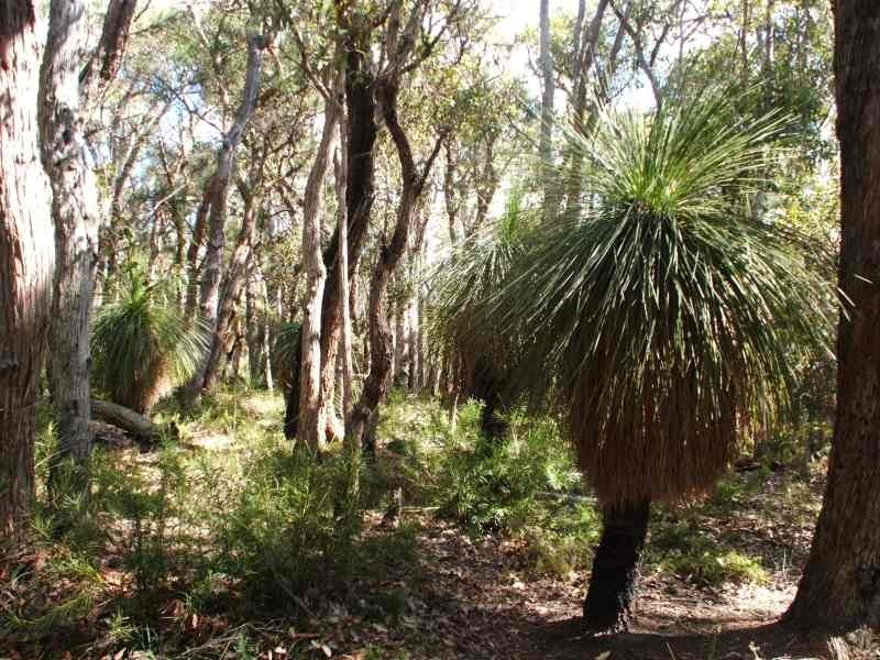 2/418 Bessell Road, Rosa Glen, Margaret River WA 6285