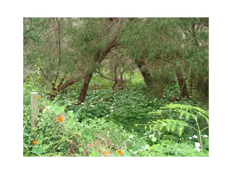 Lot 26, 4 Georgette Way, Prevelly WA 6285