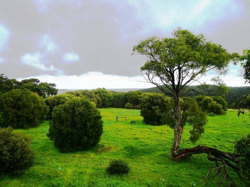 11 Wooditch Road, Margaret River WA 6285