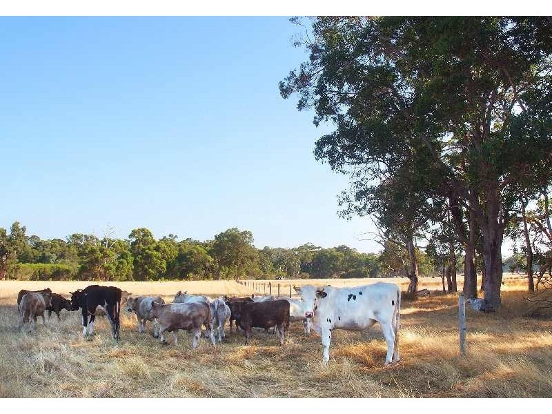 1 Barrett Road, Rosa Brook WA 6285