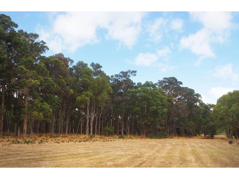 100 Glenellie Road, Margaret River WA 6285