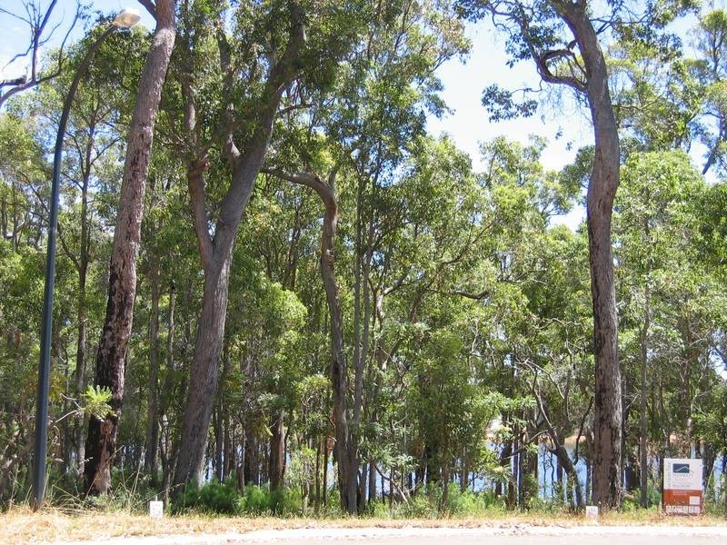 15 Georgiana Cross, Cowaramup WA 6284