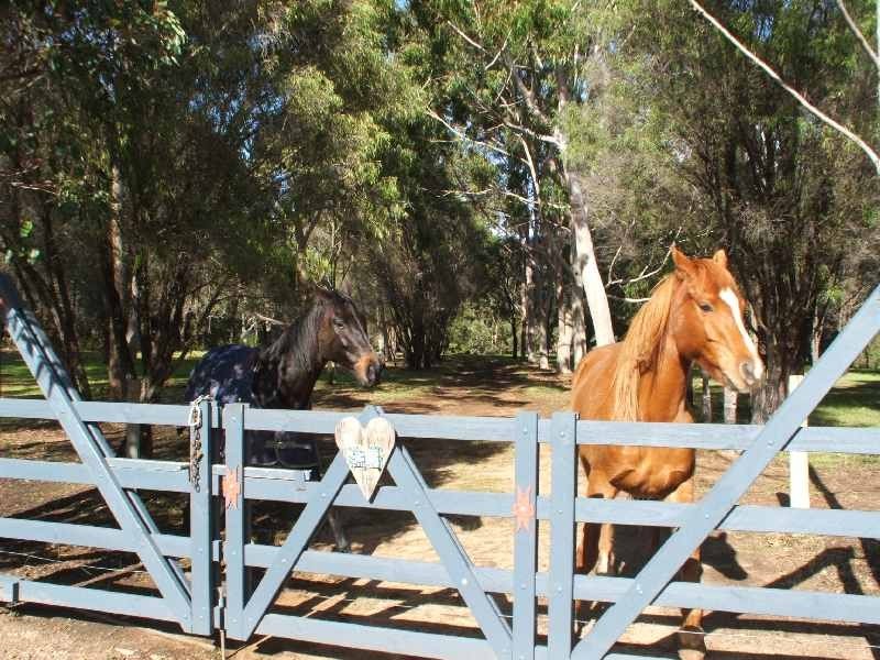 25 Glenellie Road, Margaret River WA 6285