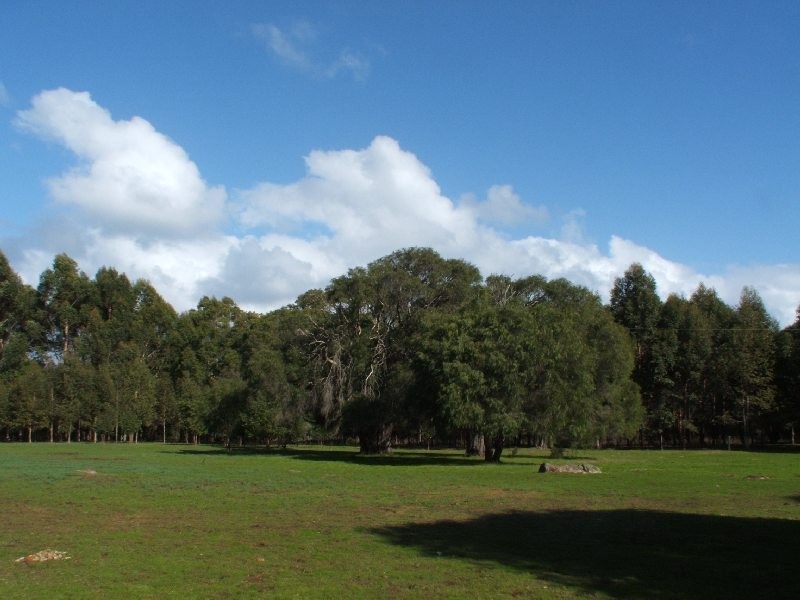 25 Glenellie Road, Margaret River WA 6285