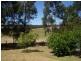 1880 Jindong/Treeton Road, Osmington WA 6285