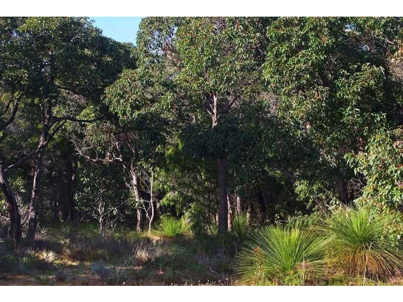 Lot 105, 61 Orchid Ramble, Margaret River WA 6285