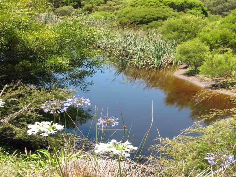 38 Matthews Road, Augusta WA 6290