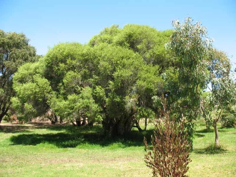 38 Matthews Road, Augusta WA 6290