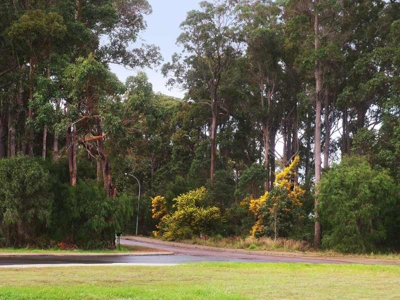 Lot 158 Quinda Place, Margaret River WA 6285