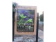 Lot 92,  Sanctuary Circle, Cowaramup WA 6284